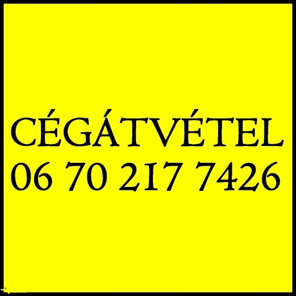 Köztartozás? Házipénztár? Tagikölcsön? Cégátvétel tartozással. Köztartozás? Házipénztár? Tagikölcsön? Cégátvétel tartozással.
