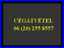 Üzletrész átvétel? Üzletrész átruházás? Eladósodott cég átvétel?