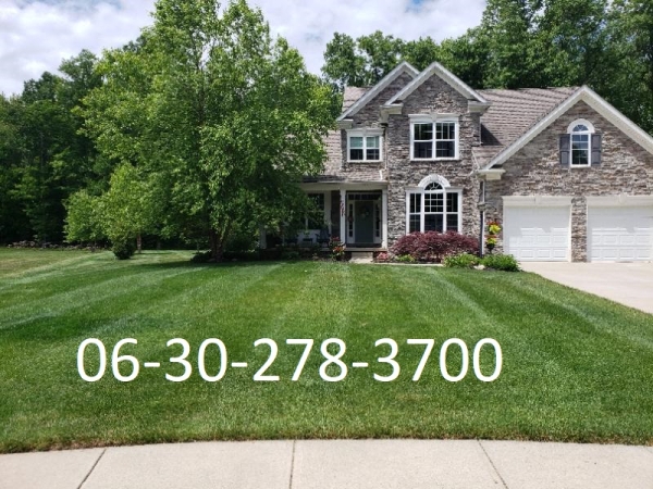 Kertgondozás, Kertész, tavaszi -nyári kerti munkák Érd,Budaörs és környéke!